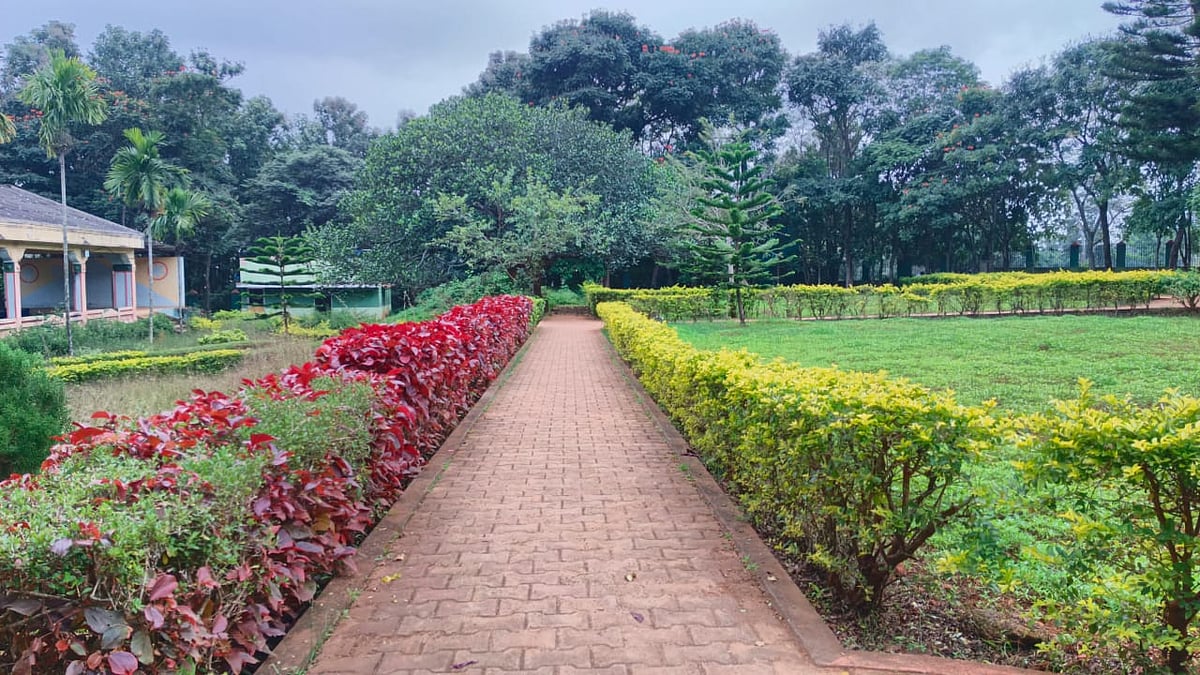 ஏலகிரி: `முக்கியமான சுற்றுலாத்தலத்தில் கழிவறை வசதிக்கூட இல்லை! - சுற்றுலாப் பயணிகள் அதிருப்தி