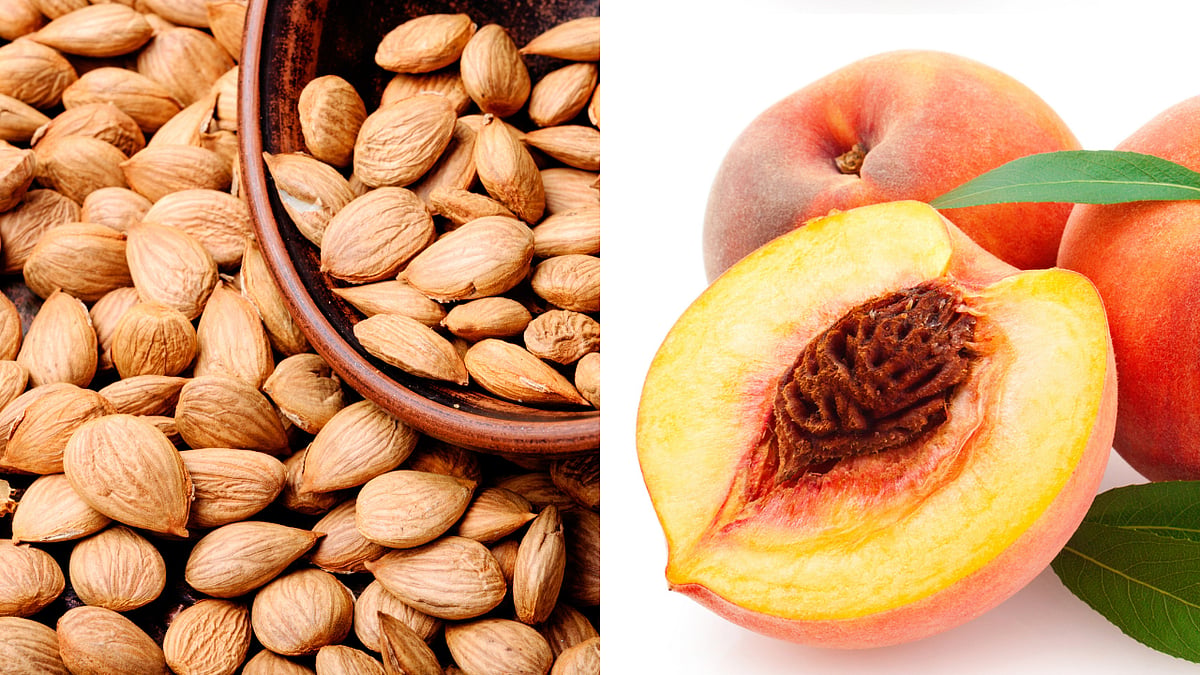 Fake vs Real: போலி பாதாமை கண்டறிவது எப்படி?