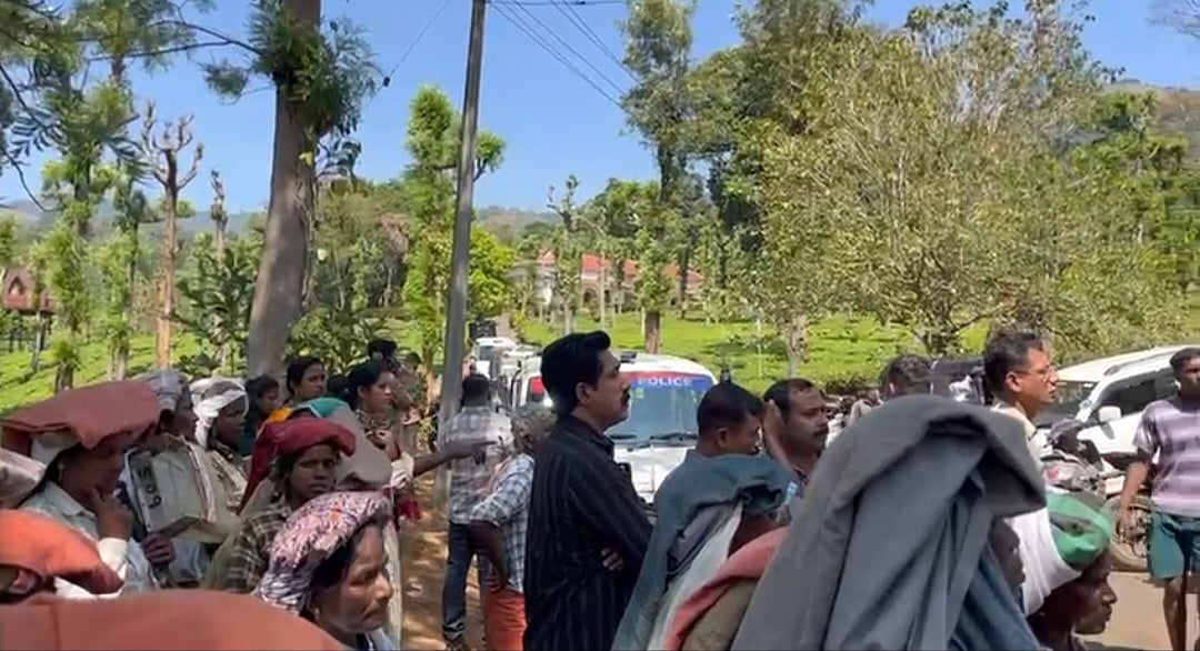 Wayanad: ``கண்முன்னே புலி கடித்துக் குதறியது; காப்பாற்ற முடியவில்லை -கண்ணீர் விடும்  தொழிலாளர்கள்