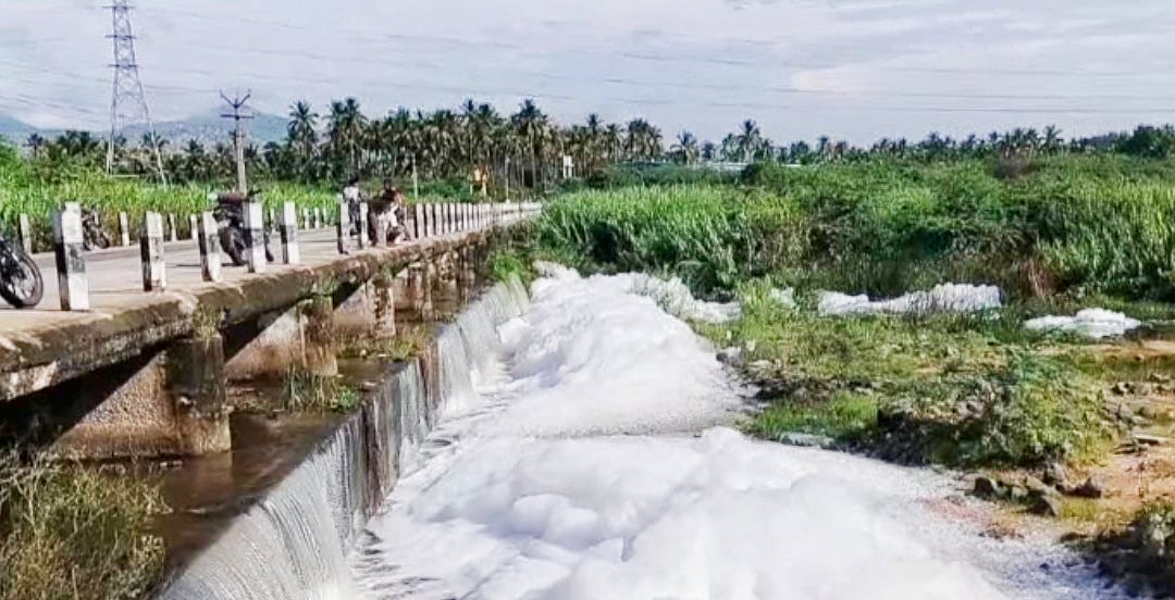 திருப்பத்தூர்: அபாயகர மருத்துவக் கழிவுகள்; துர்நாற்றம் வீசும் இறைச்சிக் கழிவுகள் - பாழாகும் பாலாறு!