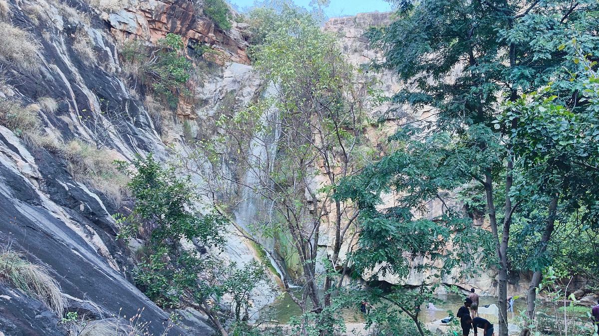 Weekend Visit: அடர்ந்த காட்டுக்குள் ஓர் அற்புதம்; திம்மகெடா‌ நீர்வீழ்ச்சி |Photo Album