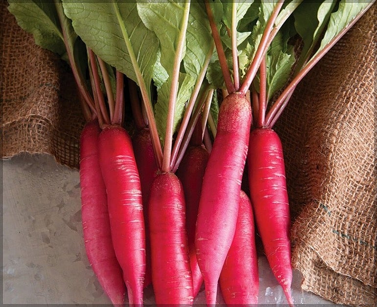 Radish: சிறுநீரகக்கல் முதல் வெள்ளைப்படுதல் வரை... உதவி செய்யும் முள்ளங்கி!