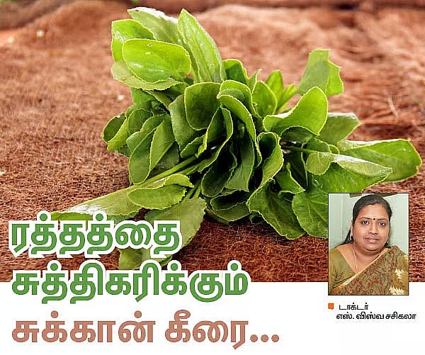 Health: தெரியாத கீரை; ஆனால், சாப்பிட வேண்டிய கீரை அது... ஏன் தெரியுமா?