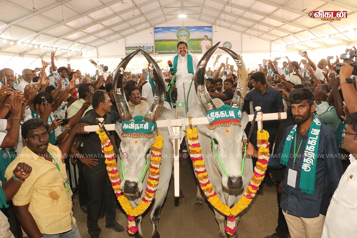 மாட்டு வண்டியில் வந்த எடப்பாடி; ஆப்சன்ட் ஆன செங்கோட்டையன் - அவிநாசி அத்திக்கடவு  விழா துளிகள்