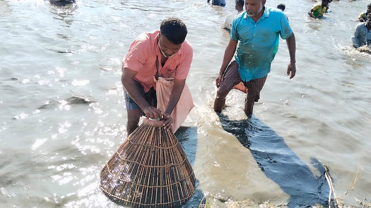 ஊத்தா கூத்து மீன்பிடித் திருவிழா: கூடைகளோடு முண்டியடித்த இளைஞர்கள்; புதுக்கோட்டையில் சுவாரஸ்யம்!