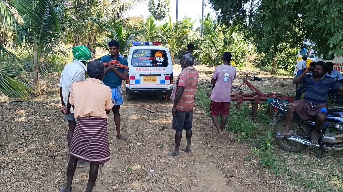ராஜபாளையம்: மாட்டுக்குப் புல் அறுக்கச் சென்ற மூதாட்டி; காட்டெருமையால் நேர்ந்த சோகம்; என்ன நடந்தது?