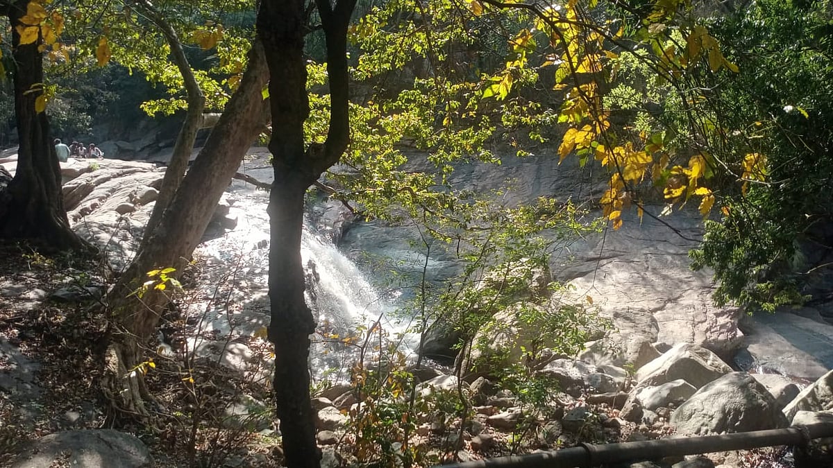 பஞ்சலிங்க அருவி, பரவசமூட்டும் ஆலயங்கள்; மனதுக்கு இதம் தரும் திருமூர்த்தி மலை - Weekend Spot Visit