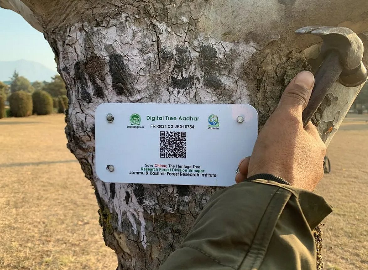 Tree Aadhar : மனிதர்களுக்கு மட்டுமல்ல... இந்தியாவின் இந்த இடத்தில் மரங்களுக்கும் ஆதார் உண்டு!