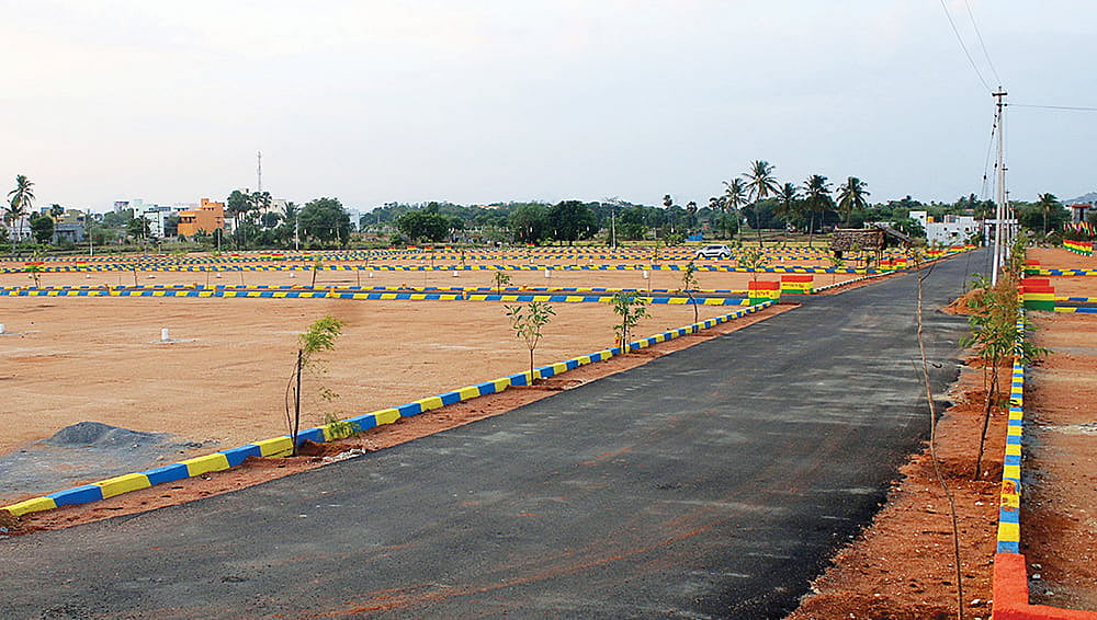 மனை வாங்கும்போது `இந்த இடத்தில் இருப்பதை வாங்குங்கள்; அதற்கு தான் மவுசு அதிகம்!