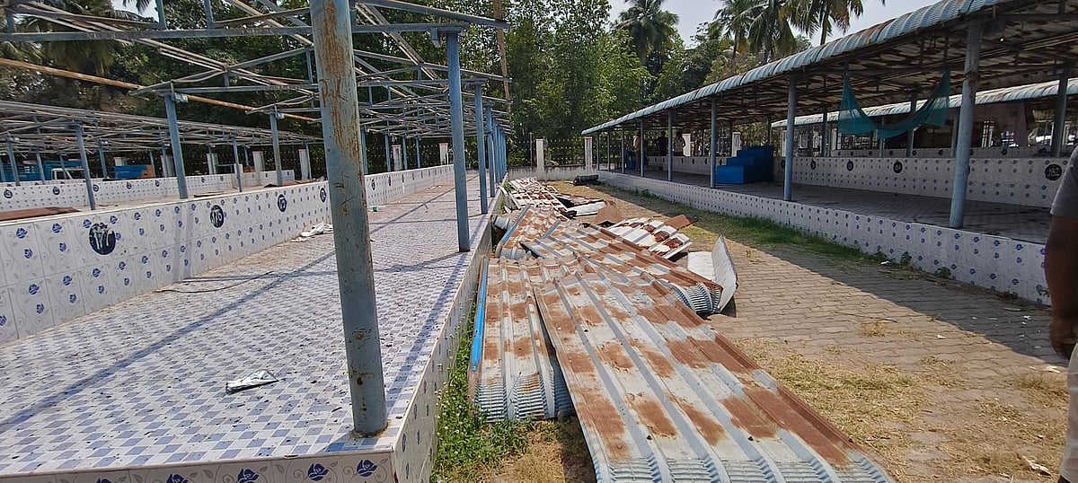 வேலூர்: சுட்டிக்காட்டிய விகடன்; மீன் மார்க்கெட் வளாக மேடைக்கடைகள் சீரமைப்பு பணியிலிறங்கிய அதிகாரிகள்