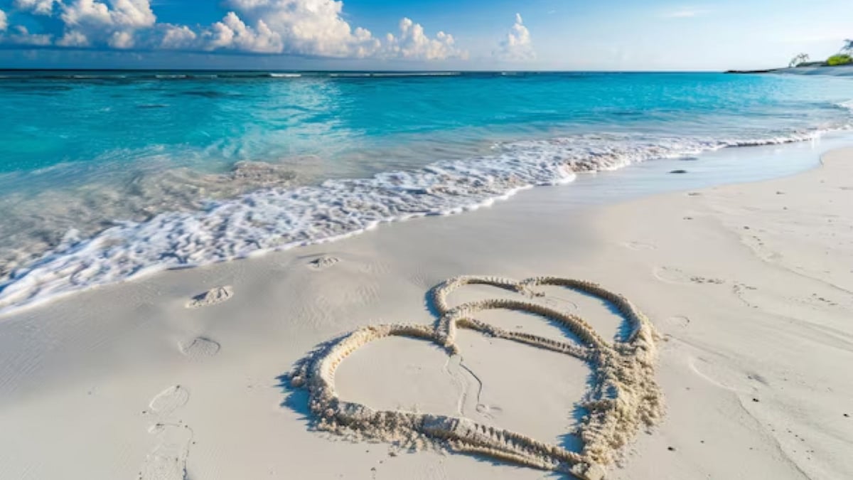 Honeymoon: திருமணமான புதிதில் செல்லும் சுற்றுலாவை ஏன் தேன்நிலவு என அழைக்கிறோம் தெரியுமா?