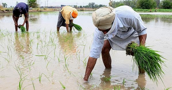 `கோரிக்கை நிறைவேறும்வரை என் உடலை எடுக்காதீர்கள்- வேளாண்மைக்கு தண்ணீர் கேட்டு உயிரை மாய்த்த விவசாயி!