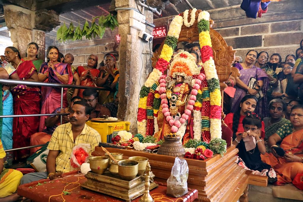 நெல்லை:-ஸ்ரீ-கரியமாணிக்க-பெருமாள்-கோயில்-திருக்கல்யாணம்;-திரளான-பக்தர்கள்-சாமி-தரிசனம்-|-Photo-Album