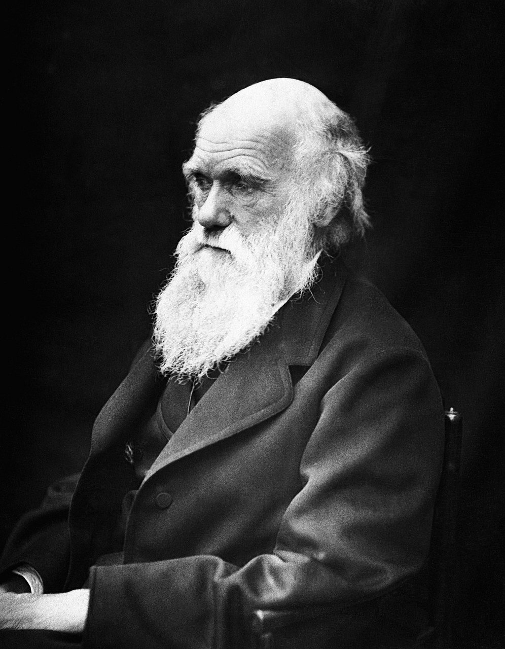 Charles Darwin: பதற்ற நோயாளி டார்வின் பல ஆண்டுகள் கப்பலில் பயணித்தது எப்படி? | My Vikatan