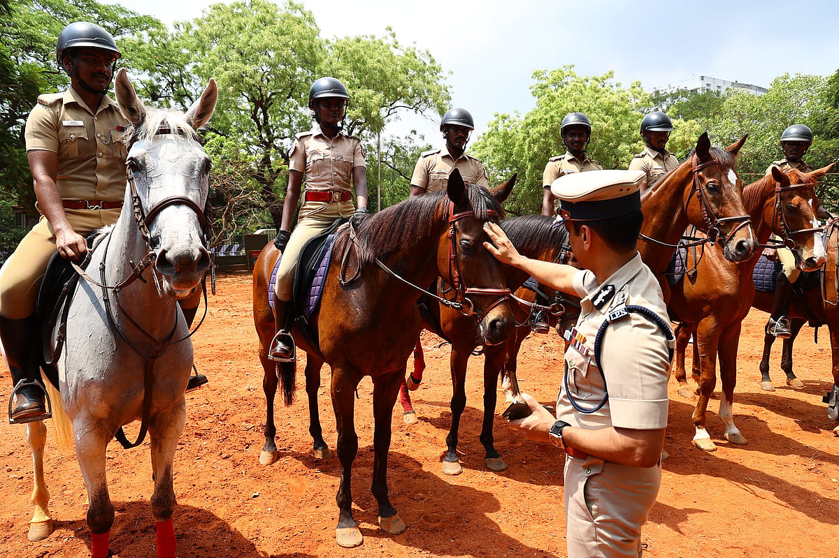கடலுக்குள் போராட்டம், பதறிய குதிரை; காப்பாற்றிய மக்கள் - குதிரையேற்ற வீராங்கனைச் சுகன்யா பேட்டி