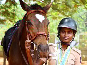 "கடலுக்குள் போராட்டம், பதறிய குதிரை; காப்பாற்றிய மக்கள்" - குதிரையேற்ற வீராங்கனைச் சுகன்யா பேட்டி