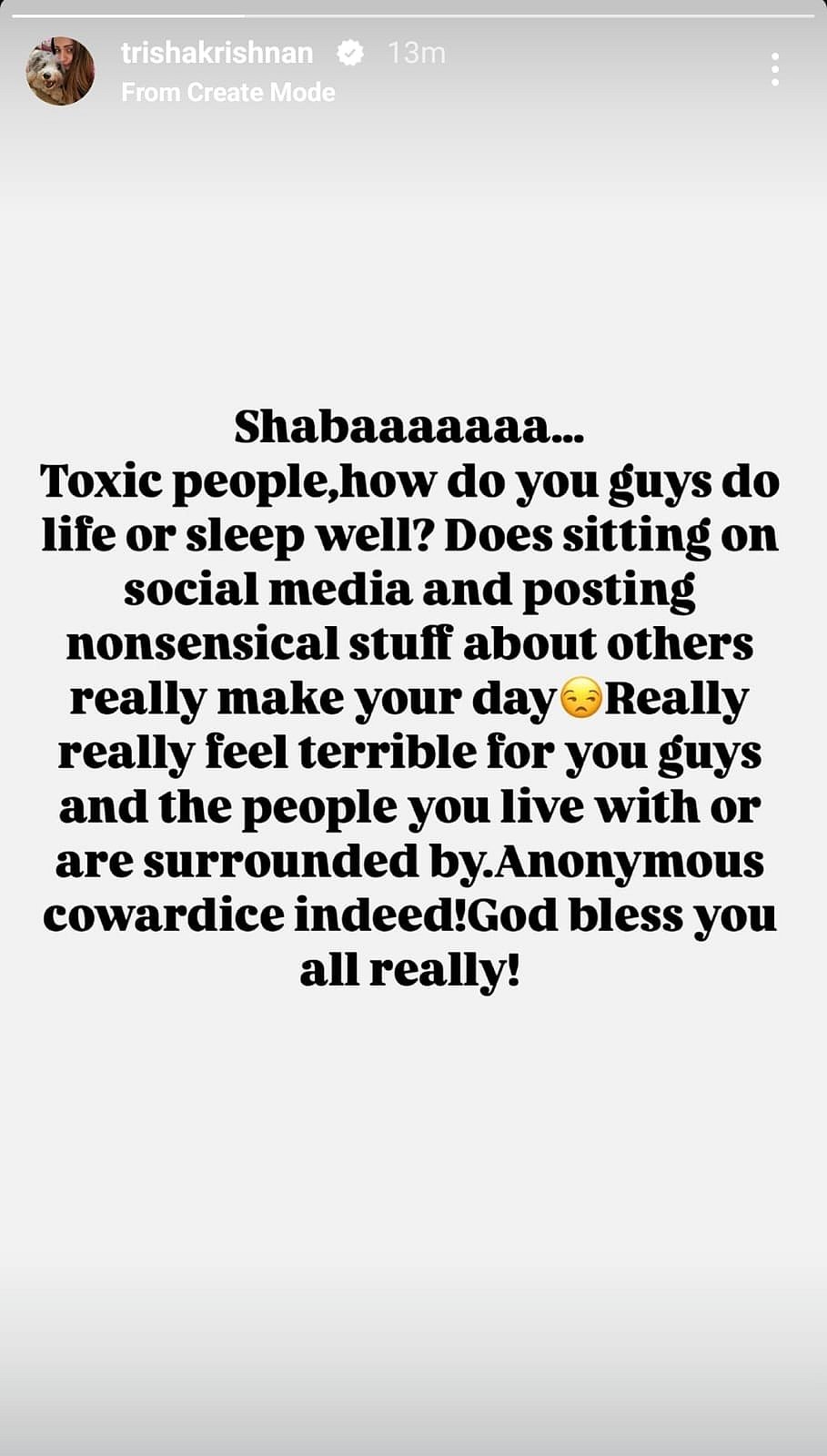 Trisha's Instagram Story