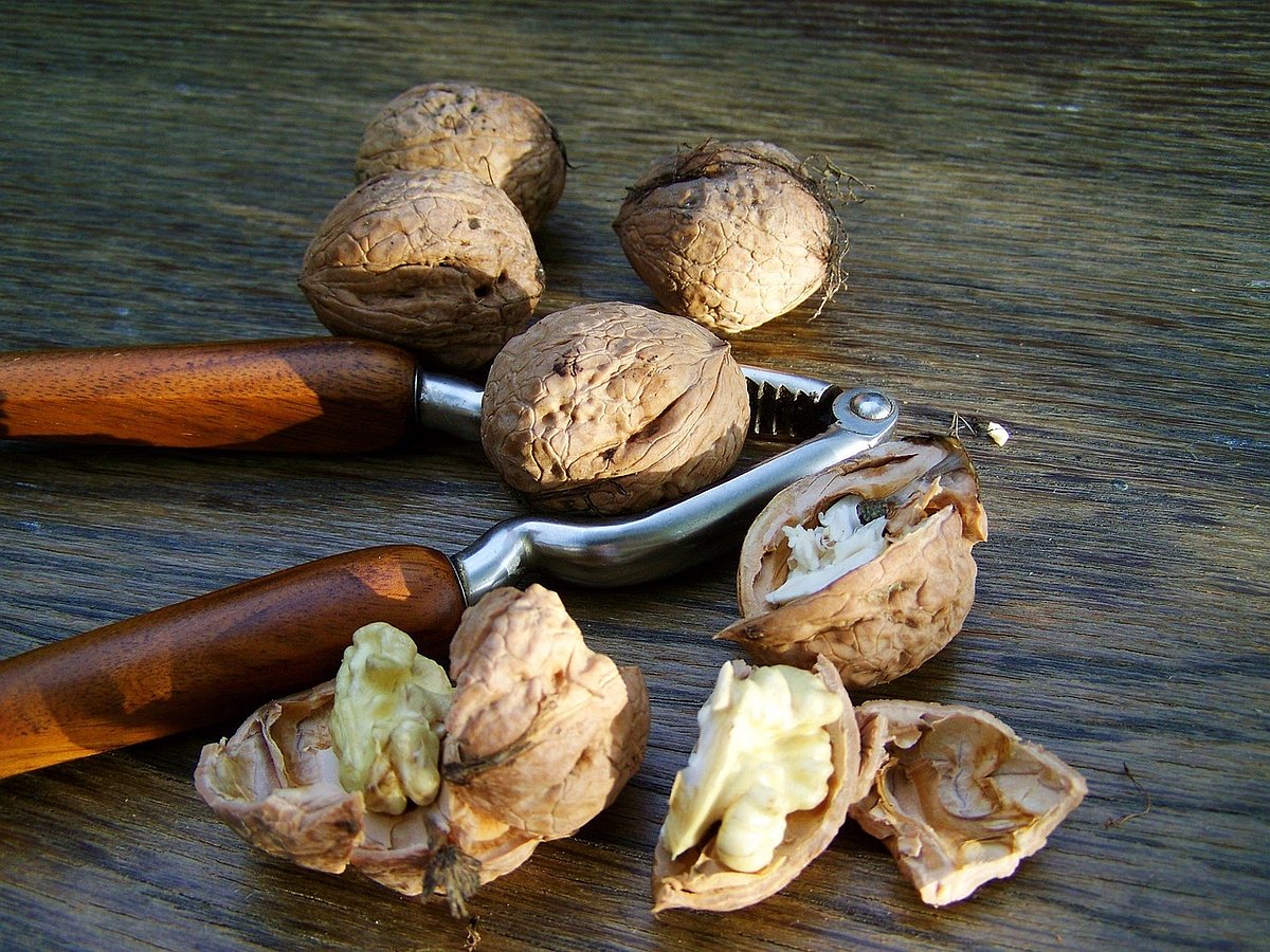 Walnuts: மருத்துவ குணங்கள், சத்துகள் மிகுந்தது; உலர்ந்த வால்நட், ஊறவைத்த வால்நட் - எது பெஸ்ட்?