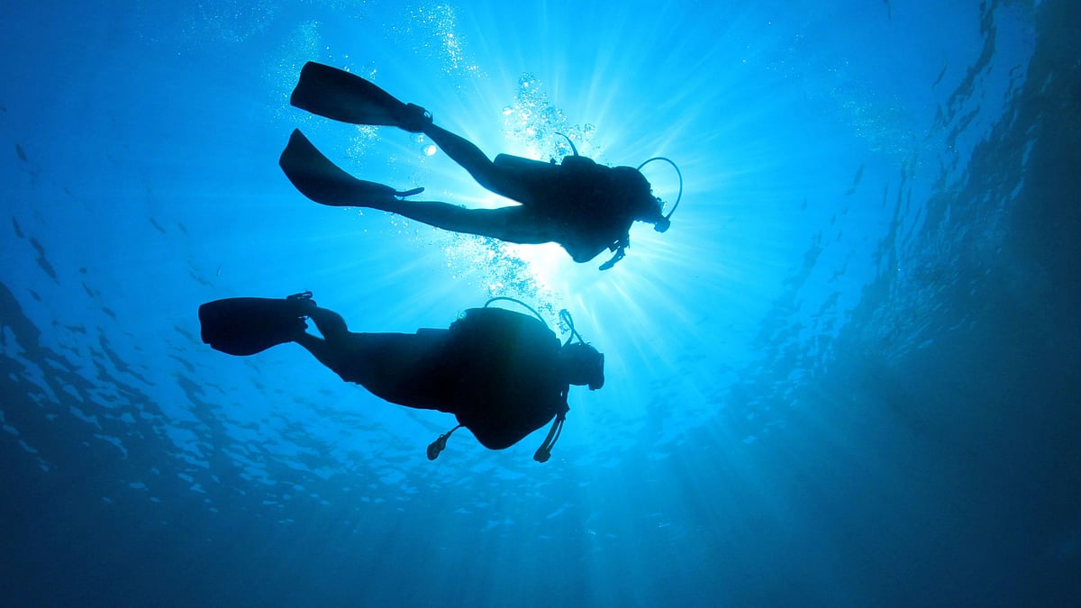 Scuba Diving: ``நீருக்குள் சந்தித்தோம், அதனால்.. - நீருக்கடியில் திருமணம் செய்த காதல் தம்பதி!