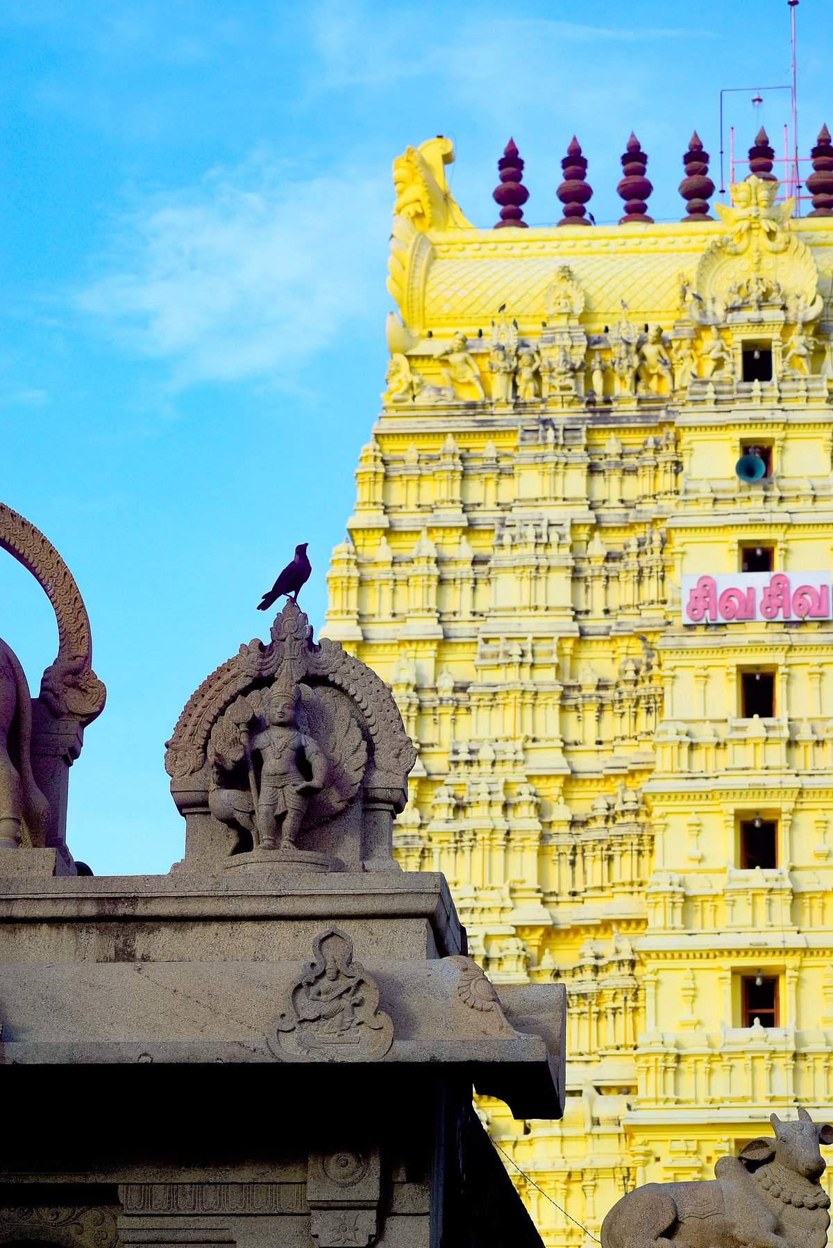 Travel Contest : புண்ணிய பூமியில் என்னை நெகிழ வைத்த மனித முகங்கள்! - மறக்க முடியாத தனுஷ்கோடி