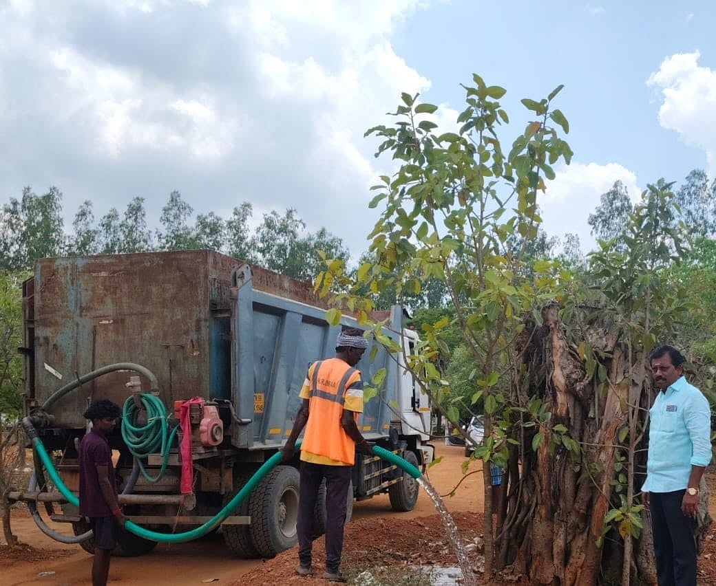 சாலை விரிவாக்கம்: வேருடன் பிடுங்கி மறுநடவு; மீண்டும் உயிர் பெற்ற 50 வயது ஆலமரம்..!