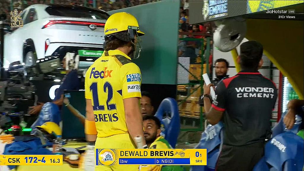 Dewald Brevis