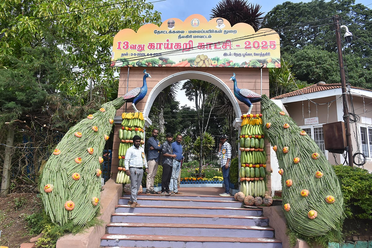 Nilgiris: ஜல்லிக்கட்டு காளை முதல் பச்சை கிளிகள் வரை.. காய்கறியில் களைகட்டும் கண்காட்சி!