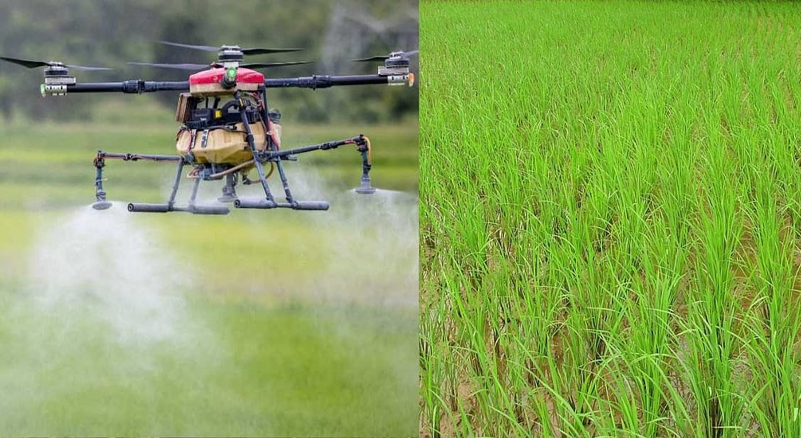 வங்கி பணியை உதறிவிட்டு விவசாயம்; மருந்து தெளிக்க ஹெலிகாப்டர் - ரூ.70 கோடி வருவாய் ஈட்டும் பட்டதாரி
