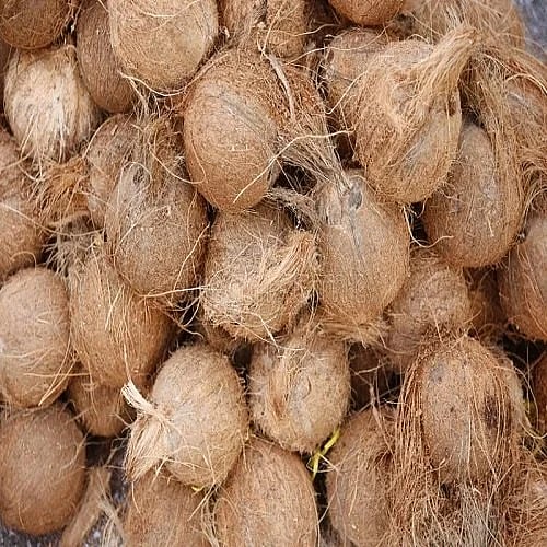 தீவிரவாத தாக்குதல் அச்சுறுத்தல் : மும்பை சித்தி விநாயக் கோயிலில் தேங்காய், பிரசாதத்திற்கு தடை!