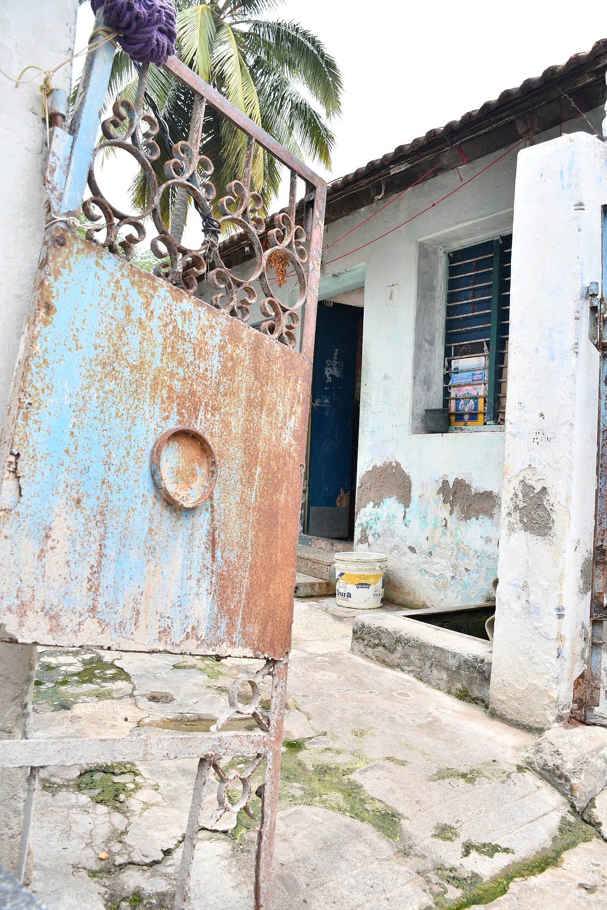 பாப்பாவை விட்டு நகர முடியாது; சரியான வீடுகூட.! - கோவை பாம்பு பிடி வீரர் சந்தோஷ் குடும்பத்தின் நிலை