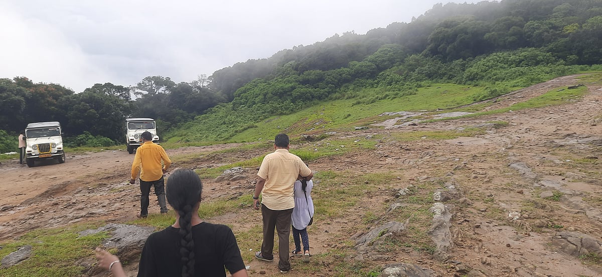 லேசான சாரல் மழையும் இதமான குளிர்காற்றும்! - நெல்லியம்பதி பற்றித் தெரியுமா? | My Vikatan