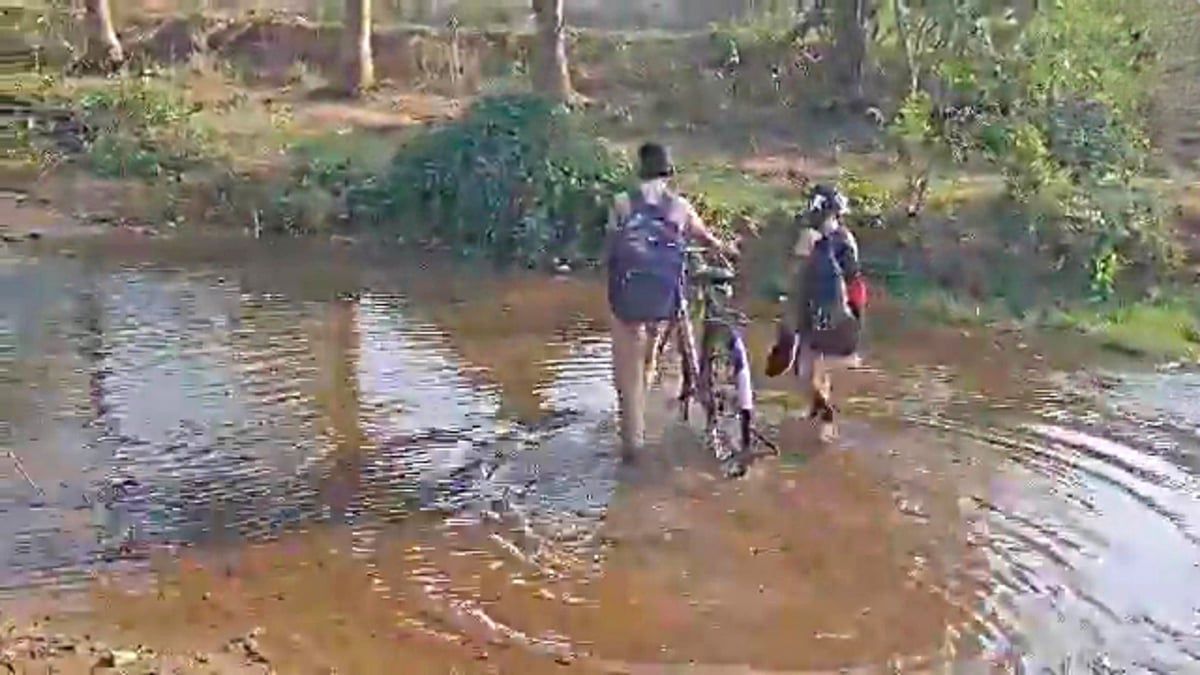 திருப்பத்தூர்: அடிப்படை வசதிகளின்றி அல்லாடும் ஐயங்கொல்லை மக்கள்; கோரிக்கைக்கு செவி சாய்க்குமா அரசு?