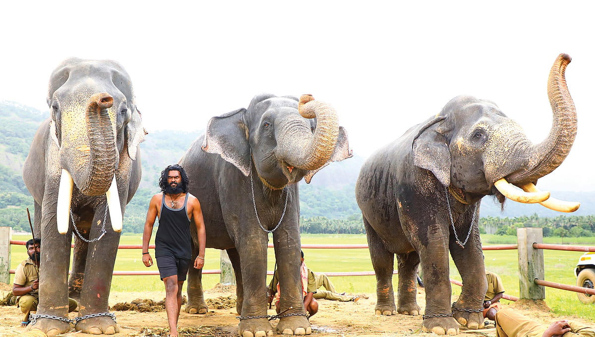 இடையூறுக்கு மன்னிக்கவும் - தள்ளிப்போகும் படைத்தலைவன் - சண்முக பாண்டியன் சொல்லும் காரணம் என்ன?