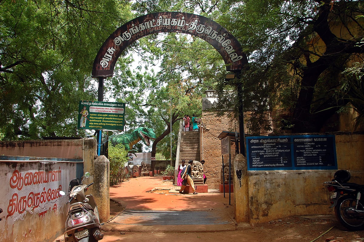 ஊமைத்துரை இருந்த சிறை; பீரங்கி குண்டுகள்! - திருநெல்வேலி அரசு அருங்காட்சியகம் ஸ்பாட் விசிட் படங்கள்