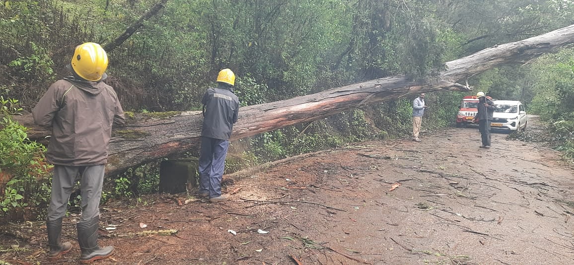 Ooty: தொடர் கனமழை; ஊட்டியில் மூடப்படும் சுற்றுலாத்தலங்கள், தயார் நிலையில் மீட்பு முகாம்கள்!