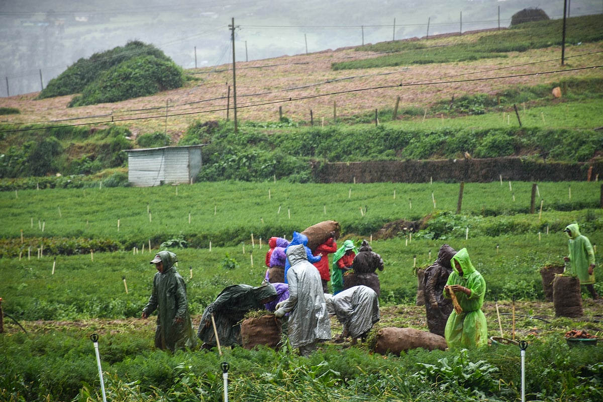 Ooty: `ரெட் அலர்ட் விடப்பட்ட ஊட்டி, தொடரும் கனமழையால் ஏற்பட்ட பாதிப்புகள்..