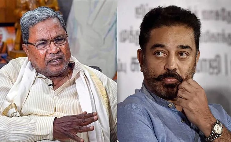 மொழி விவகாரம்: `கன்னடர்களும், மலையாளிகளும் உண்மையை ஏற்கத் தயங்கினாலும்..! - திருமாவளவன் சொல்வதென்ன?