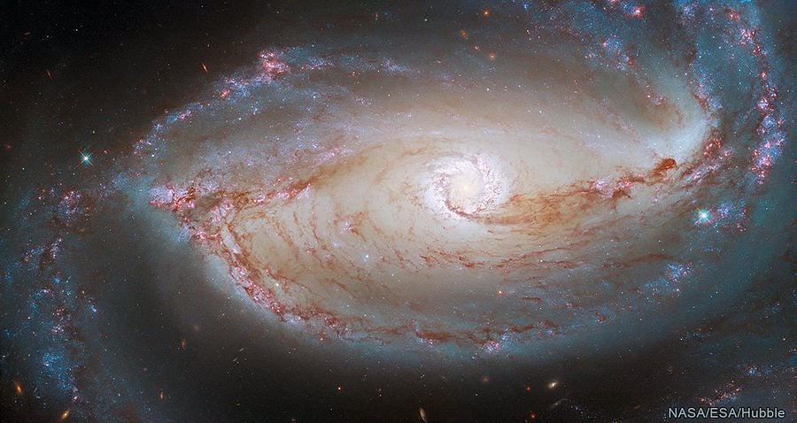 Space: விண்வெளியிலிருந்து சிக்னல் அனுப்பும் மர்ம பொருள் - அறிவியலாளர்கள் சொல்வது என்ன?