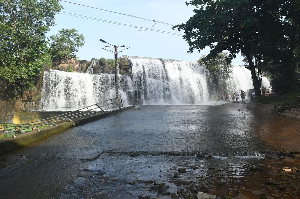 திற்பரப்பு அருவி