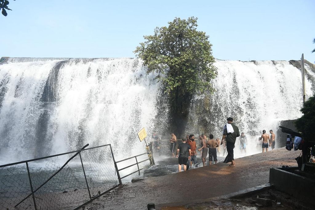 திற்பரப்பு அருவி