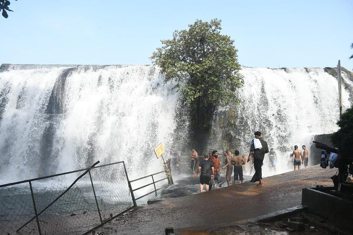 தொடர் மழையால் ஆர்ப்பரிக்கும் திற்பரப்பு அருவி.. 
சுற்றுலா பயணிகள் உற்சாக குளியல் | Photo Album