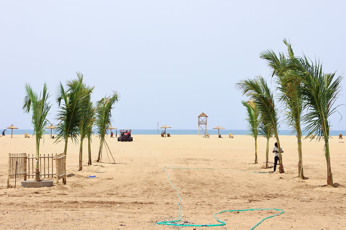 மெரினா நீல கடற்கரை திட்டம்: கடற்கரையை அழகுபடுத்தப் போகும் தென்னைகள், சாய்வு நாற்காலிகள் |Photo Album