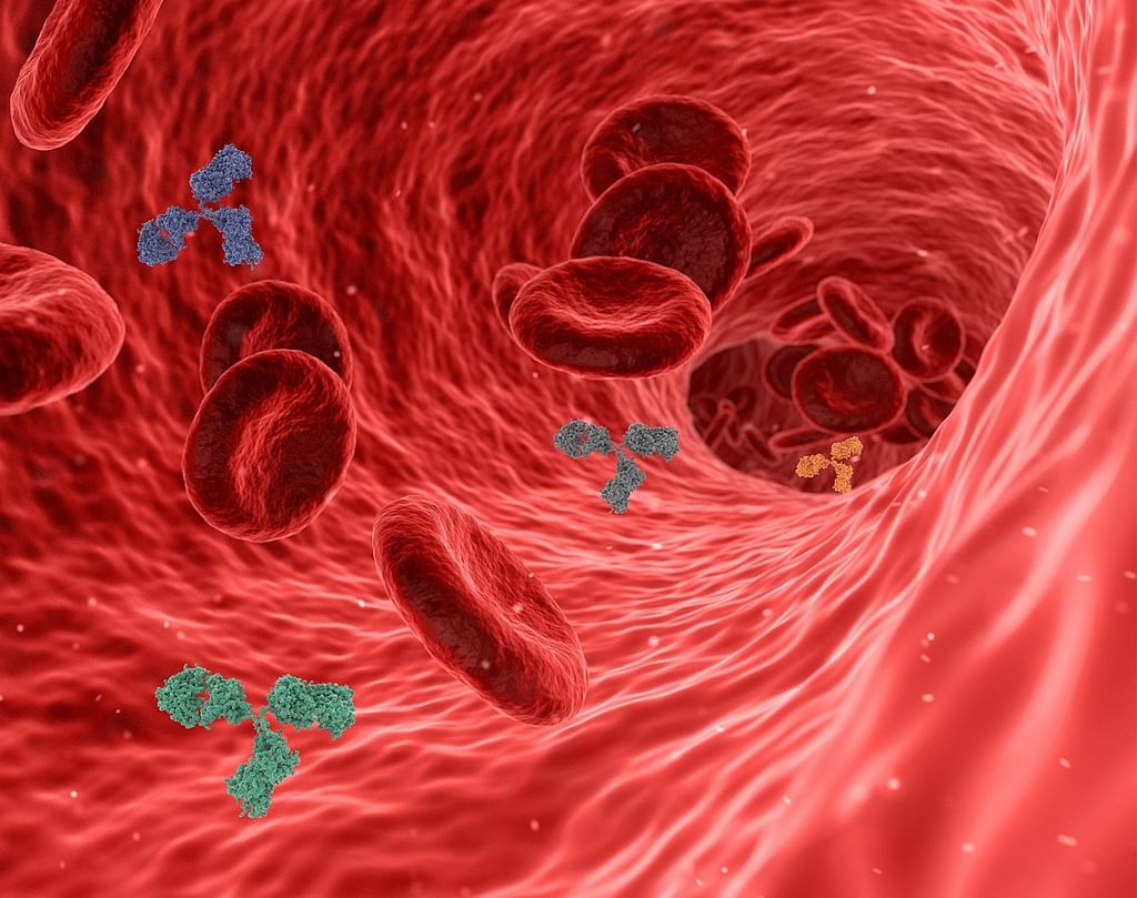 Red blood cells