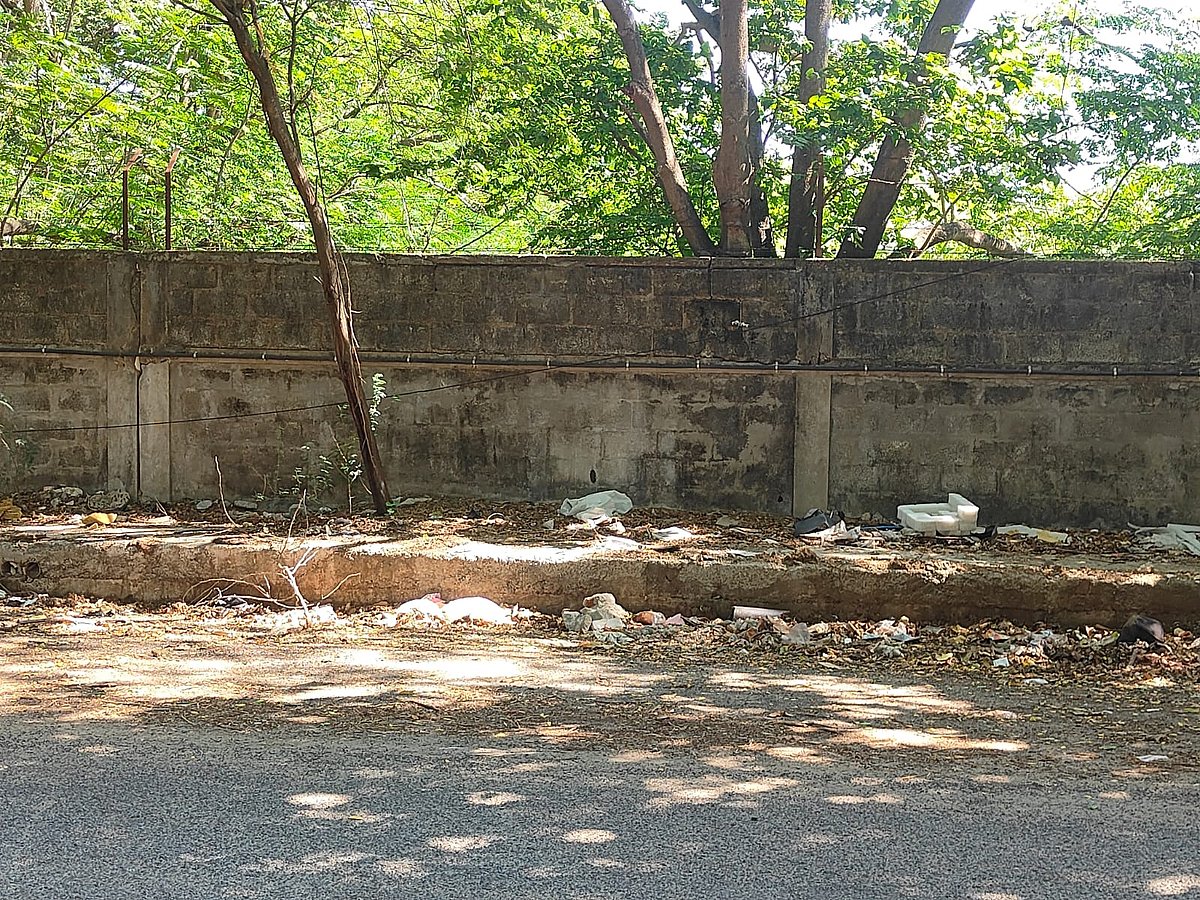 தரமணி: தொழில்நுட்பக் கல்லூரி சாலையின் அவலநிலையை சுட்டிக்காட்டிய விகடன்; நடவடிக்கை எடுத்த அதிகாரிகள்!