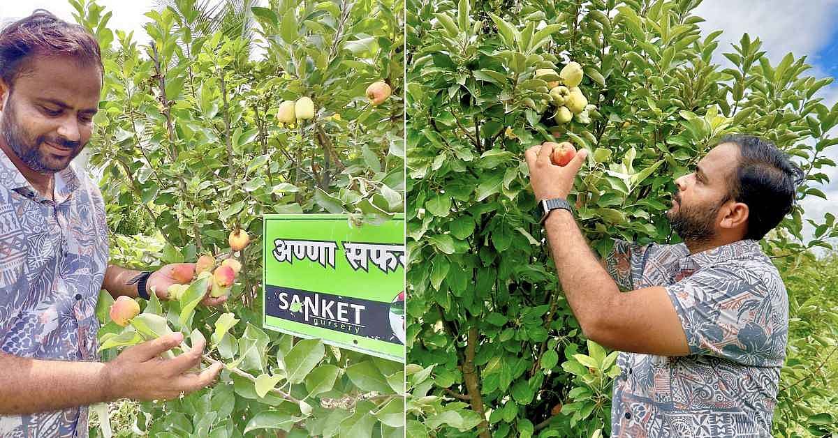 ``44 டிகிரி வெயிலில் விளையும் ஆப்பிள்; ஏக்கருக்கு ரூ.5 லட்சம்.. -  விவரிக்கும் பொறியாளர்