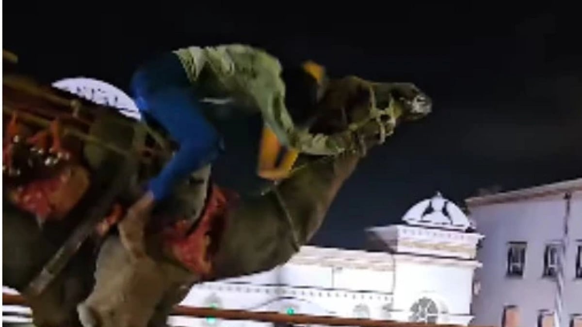 ஹைதராபாத் மேம்பாலத்தில் ஓட்டமெடுத்த ஒட்டகம்; சவாரியில் சிக்கிய இளைஞரை மீட்ட சம்பவம்.. வைரல் காட்சி!