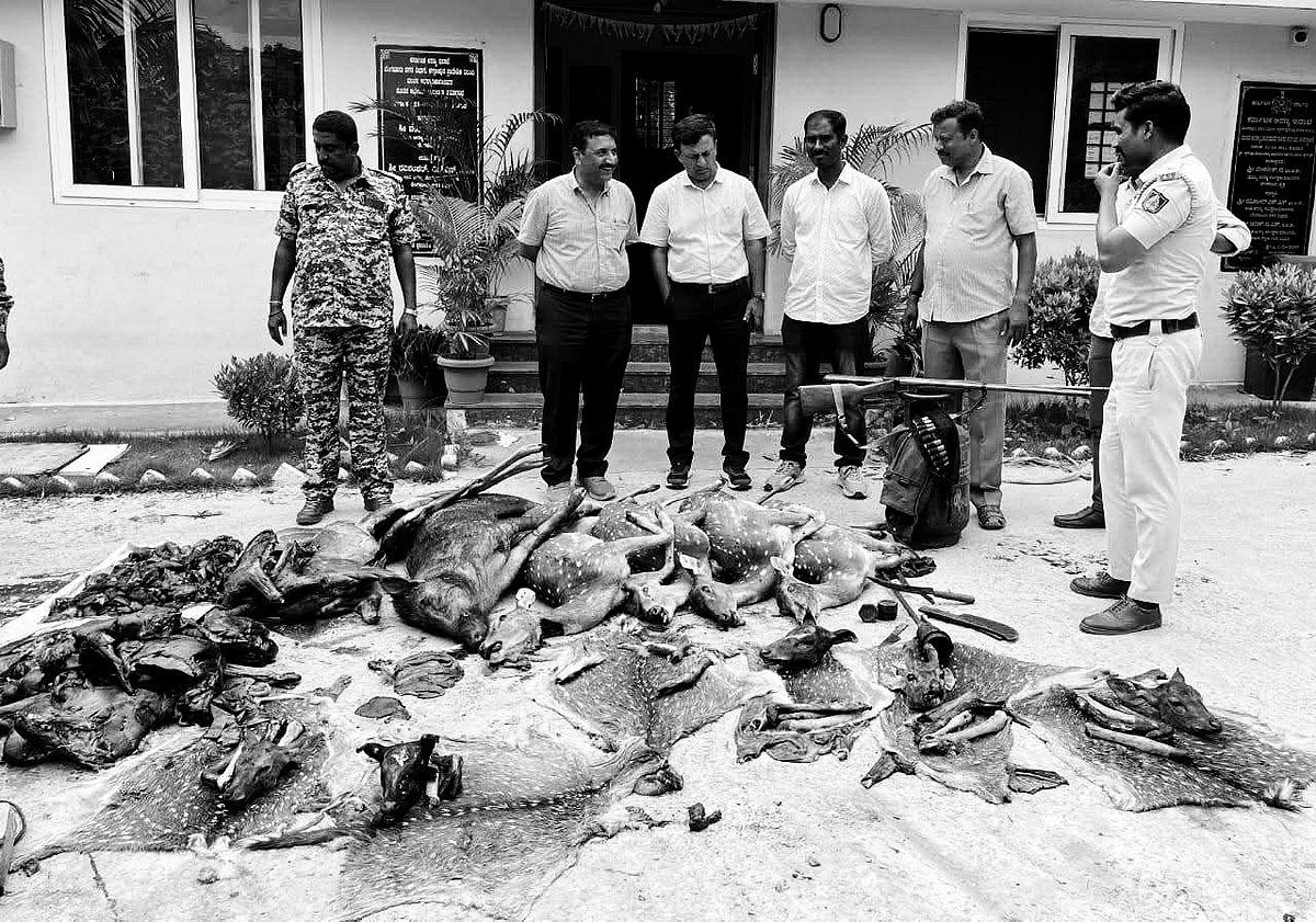 Poaching: குவியல் குவியலாக புள்ளிமான் சடலங்கள், துப்பாக்கிகள் - வனத்துறை அதிர்ச்சி; என்ன நடந்தது?