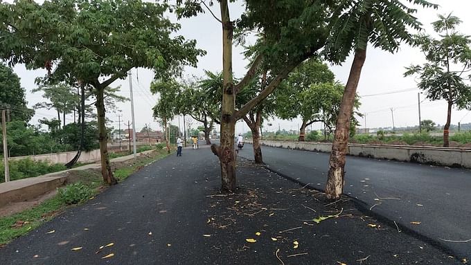 பீகார் - சாலை