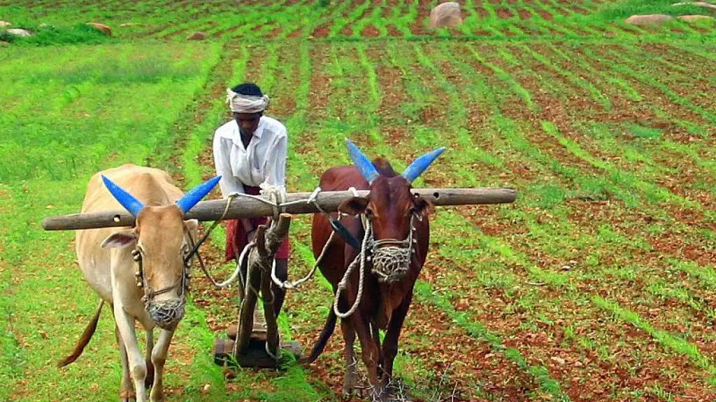 விவசாயிகள்