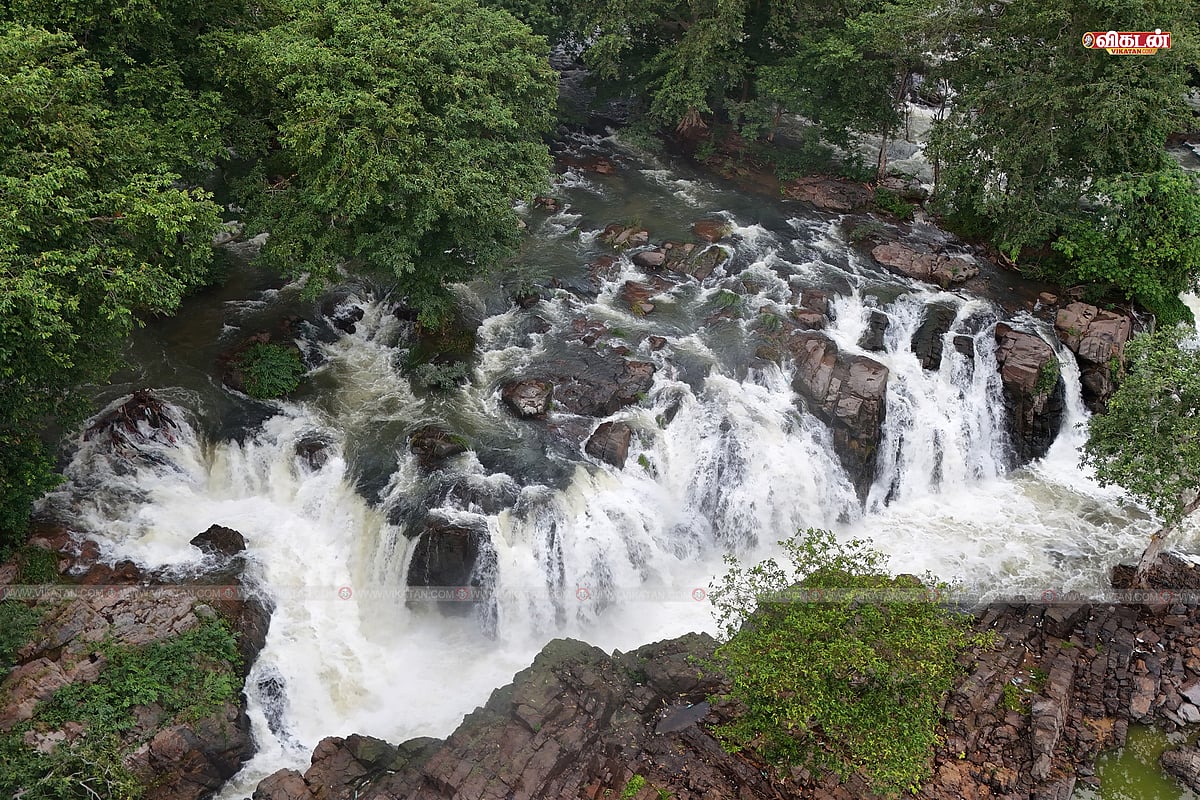 Hogenakkal: ஆர்ப்பரித்து கொட்டும் ஒகேனக்கல் அருவி! - Drone visuals